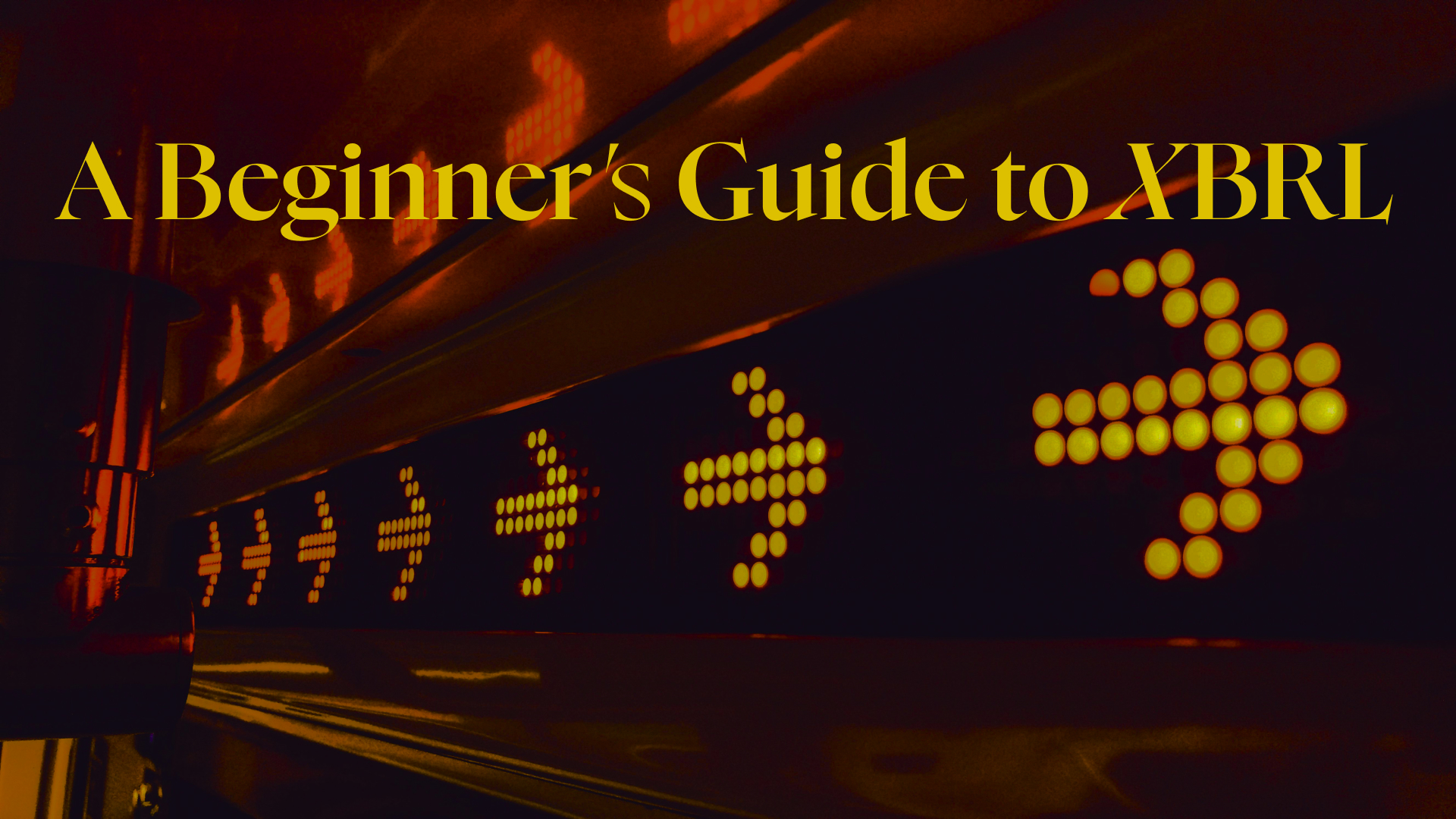 Beginners Guide