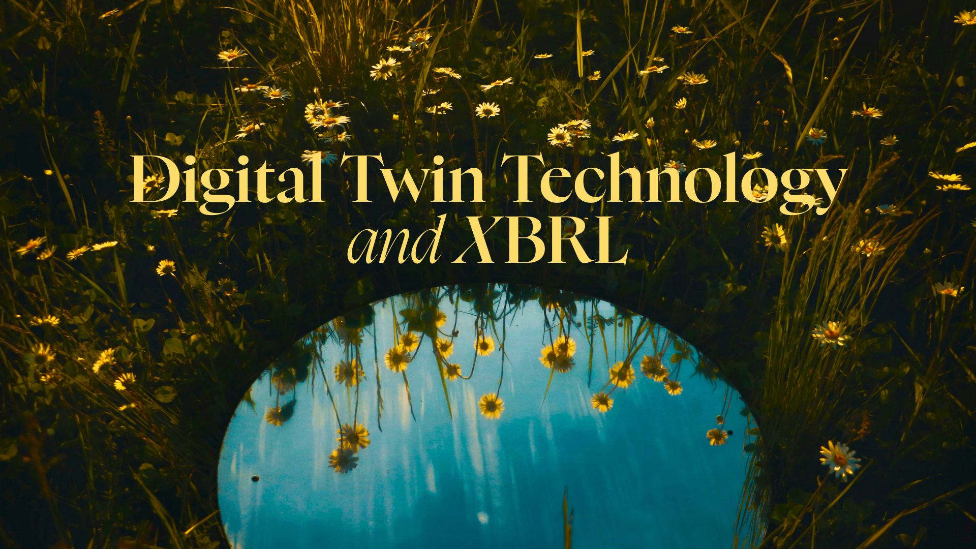 XBRL and Digital Twin Technology