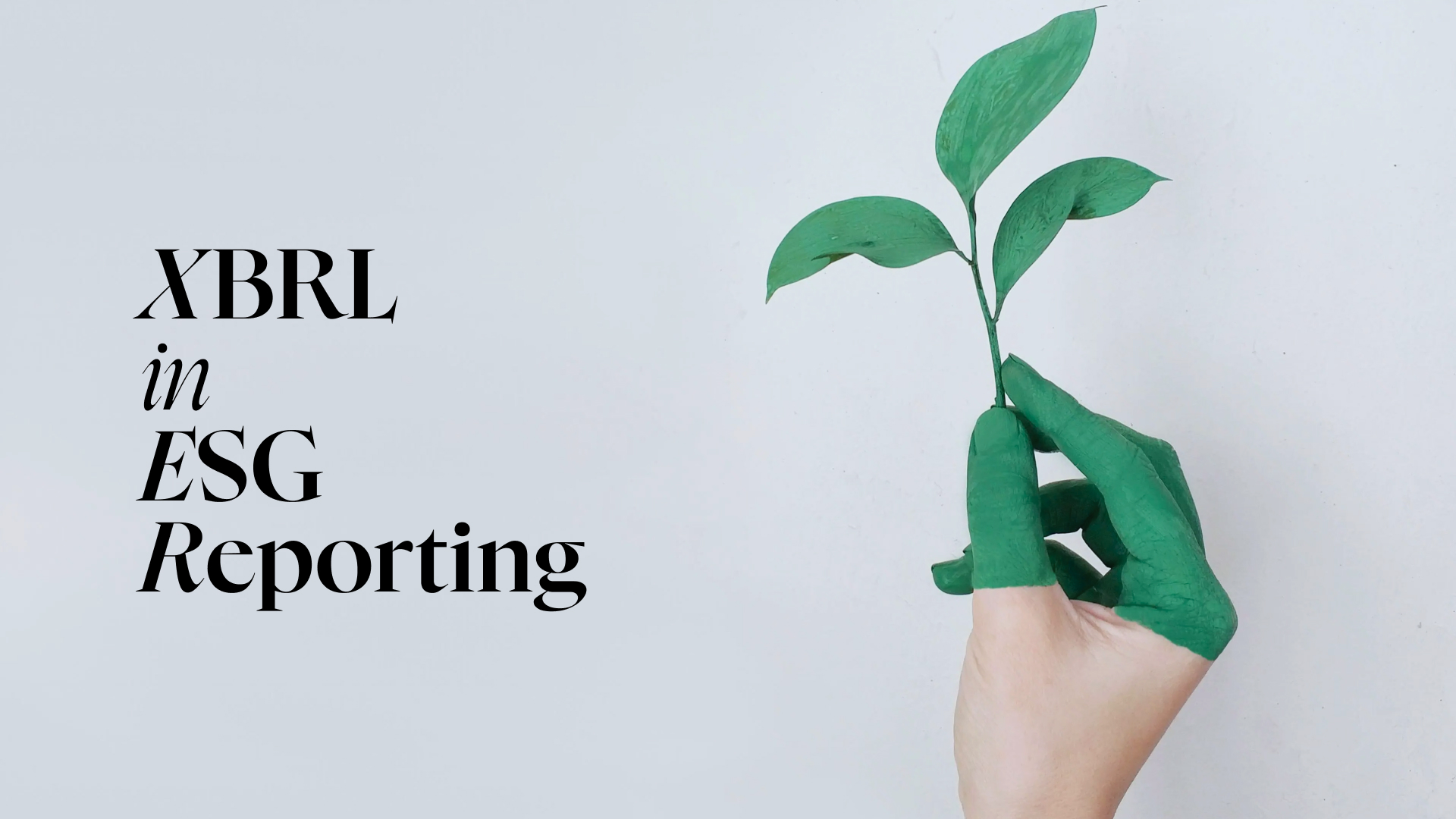 XBRL in ESG Reporting